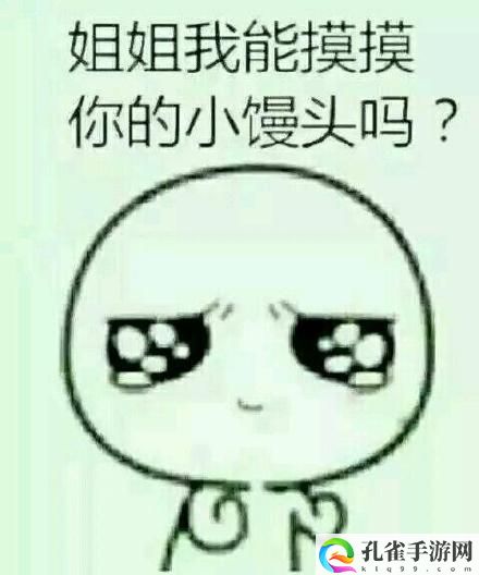 dj粗口歌摸摸你的头小毛驴