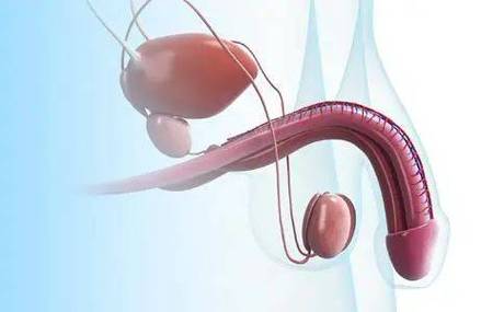 哪灬你的鸣巴好大