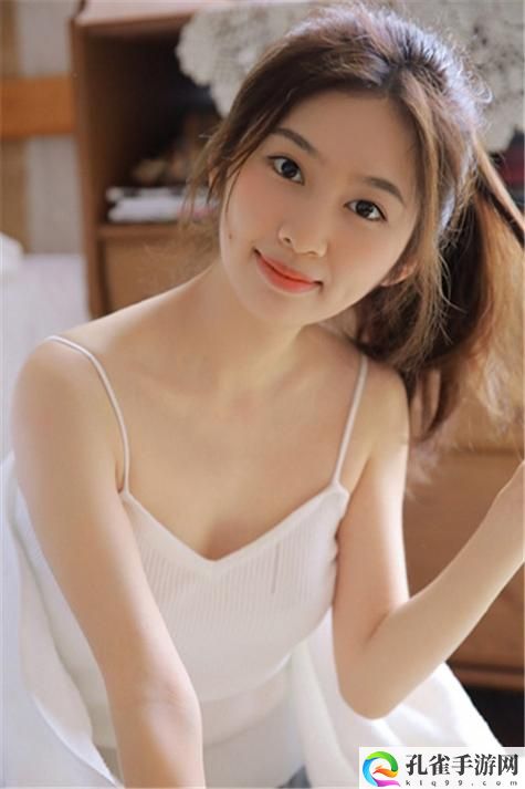 成品网站5178入口的功能介绍