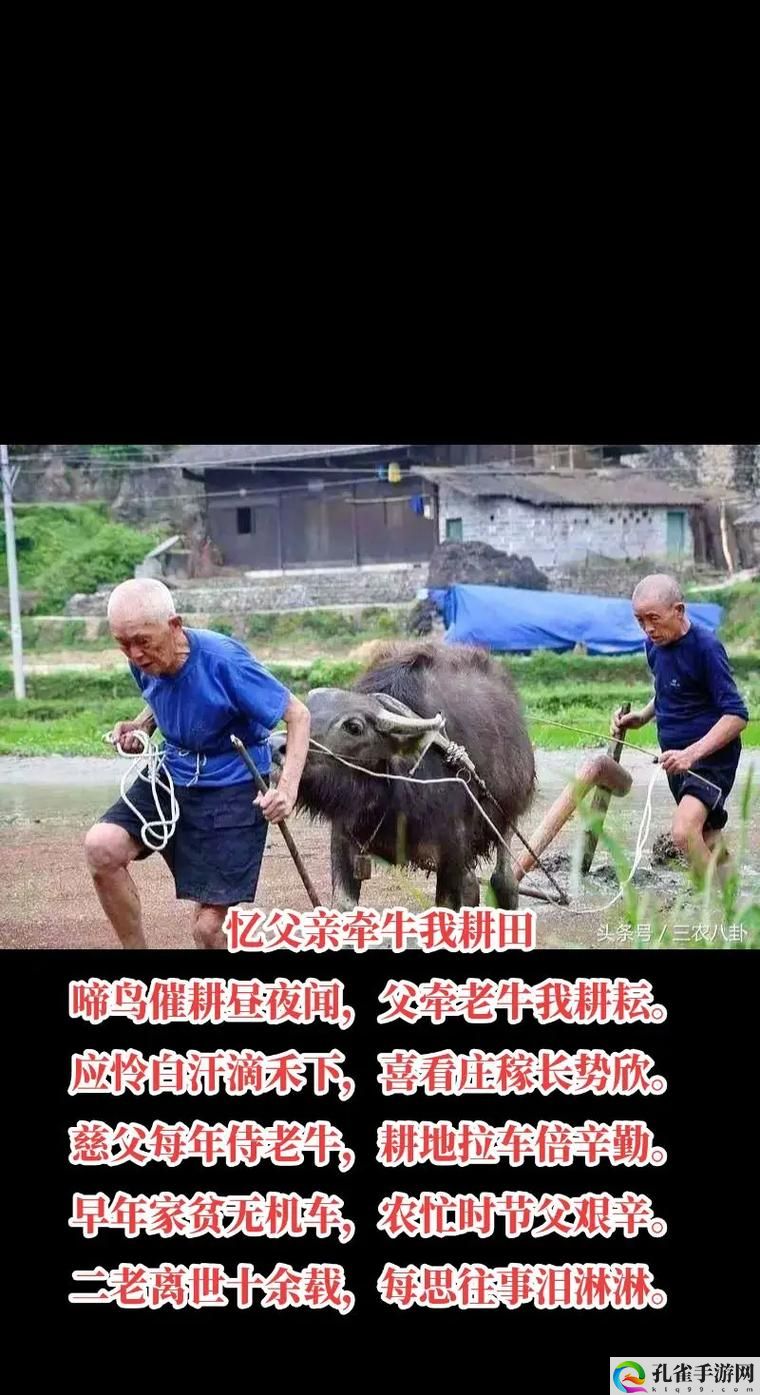 趁父亲不在子代父职耕亩田