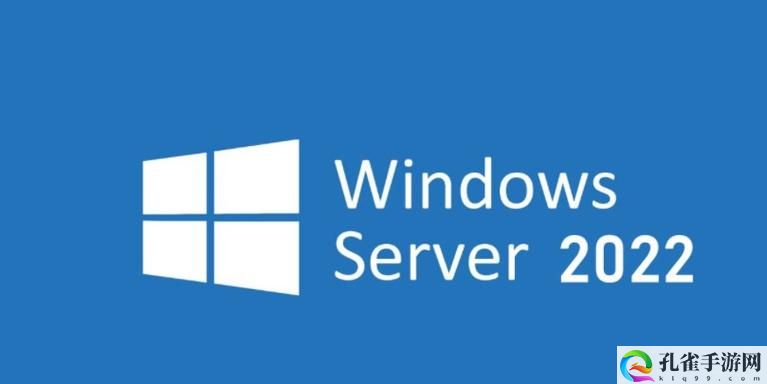 日本windowsserver片