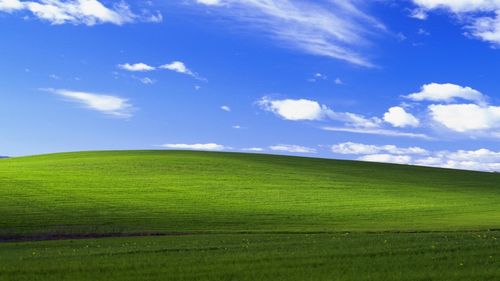 中国windows野外