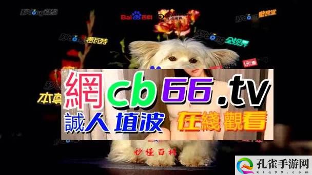 成品网源码78w78的特点