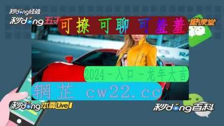 国产又爽又黄免费软件