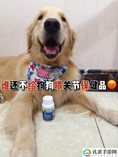 狗和人胶配方20分钟制作方法