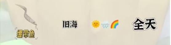 心动小镇绷带鱼钓鱼攻略 稀有道具获取技巧