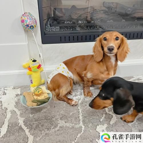 正式像狗一样为小三当尿壶