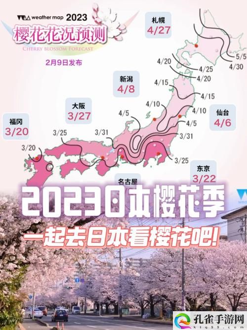 樱花官网官方入门网站2023