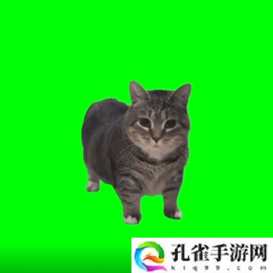 《猫猫的奇幻漂流》导演应中国粉丝要求 制作了魔性旋转猫