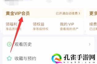 爱奇艺视频关闭自动续费怎么关闭1