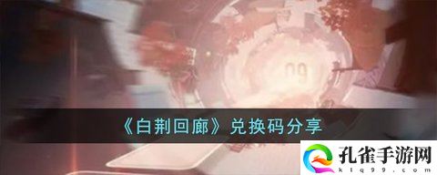 白荆回廊兑换码在哪里使用1