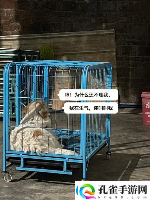 深入探讨老牛嫩草与精二的区别
