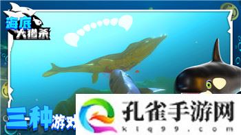 上古卷轴5 纪念版和贺岁版的区别与特色分析，玩家该如何选择？