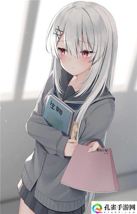 外国大片又大又好看的ppt