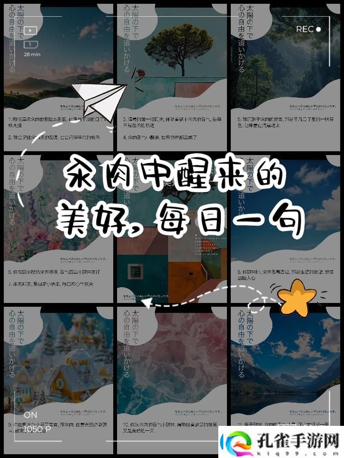 每天都在汆肉中醒来