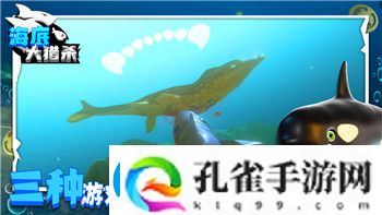 海贼无双Switch双人设置教程
