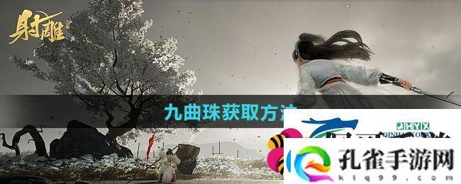 射雕九曲珠怎样获得