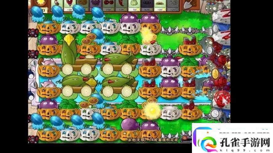 植物大战僵尸泳池无尽版攻略