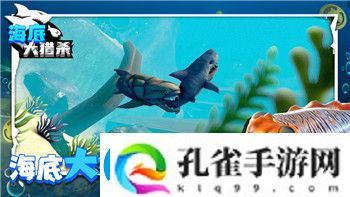 螺旋圆舞曲黛咪商店
