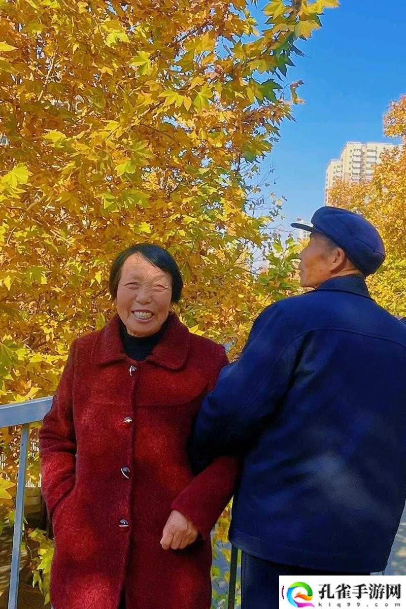 探索老年人生活乐趣