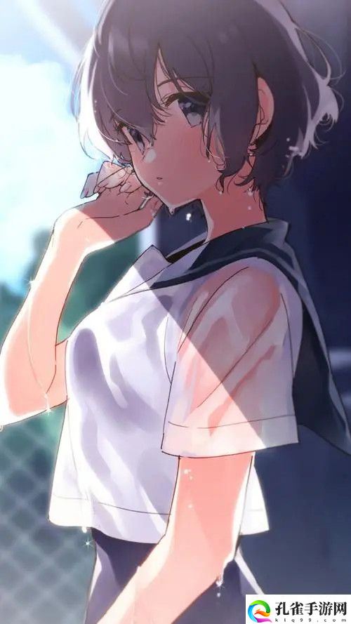 有线高清电视线SYWV7