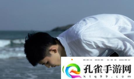 探对app下载最新