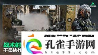 龙之信条终结之像可以复制吗