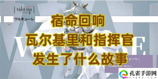 宿命回响瓦尔基里和指挥官发生了什么故事