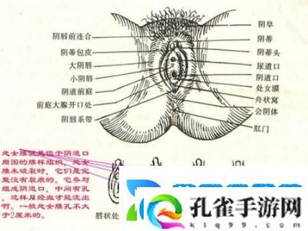 “破解”青春密码