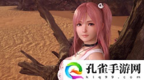 《生死格斗：沙滩排球 维纳斯璀璨假期》将于2025年3月6日发售 预购特典公布