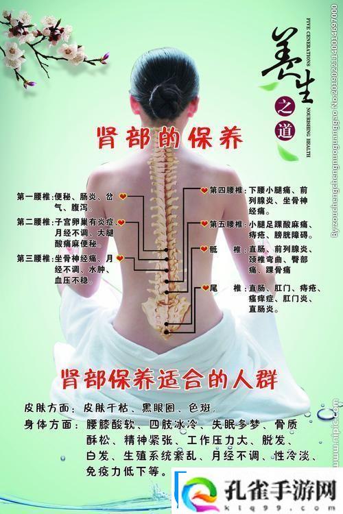 “肾机保养成新时尚笑谈科技潮流的诡异走向”