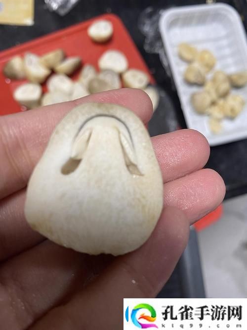 18流白浆小蘑菇引发热议