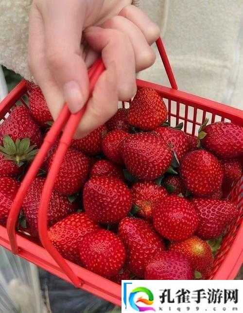 草莓湿漉漉是好事还是恶性