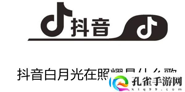 白月光是什么歌