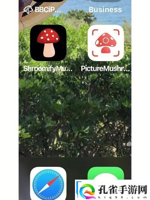 安全蘑菇app