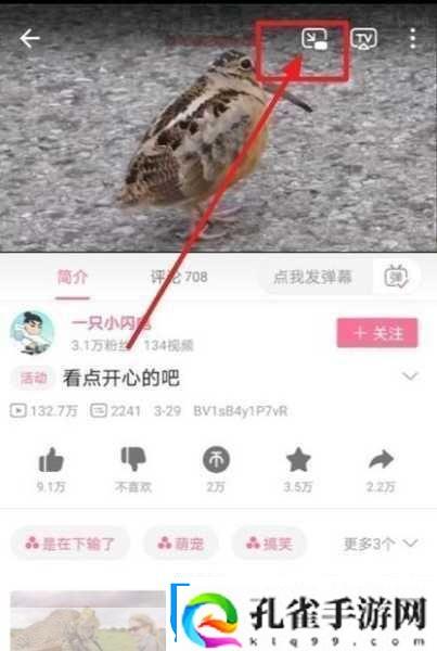 B站推广站