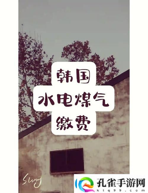 好看的韩国三色电费火爆上线
