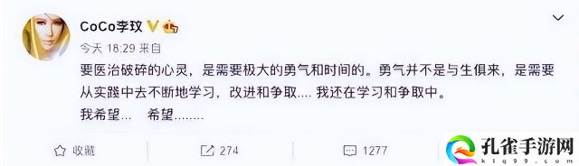 李玟老公个人资料简介