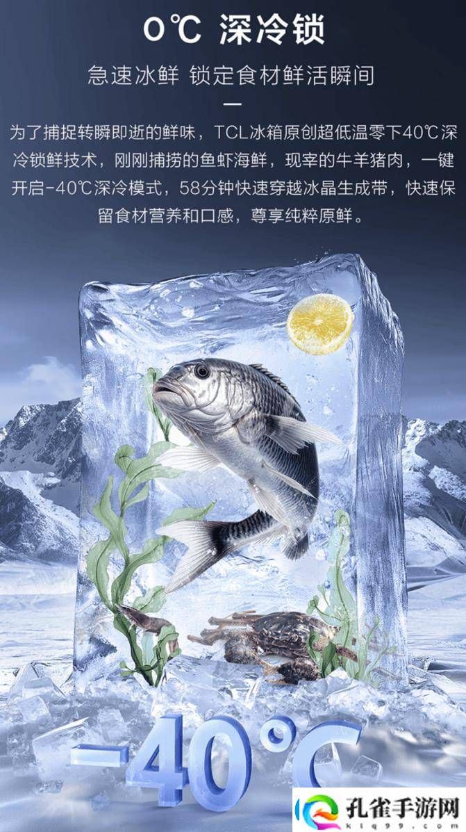 TCL冰麒麟深冷冰箱