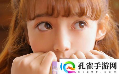 机对机软件免费软件