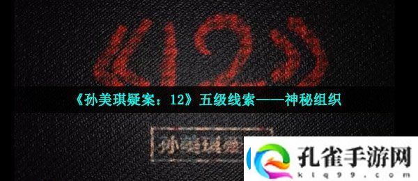 孙美琪疑案12五级线索神秘组织在哪