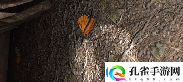 孙美琪疑案12五级线索神秘组织在哪