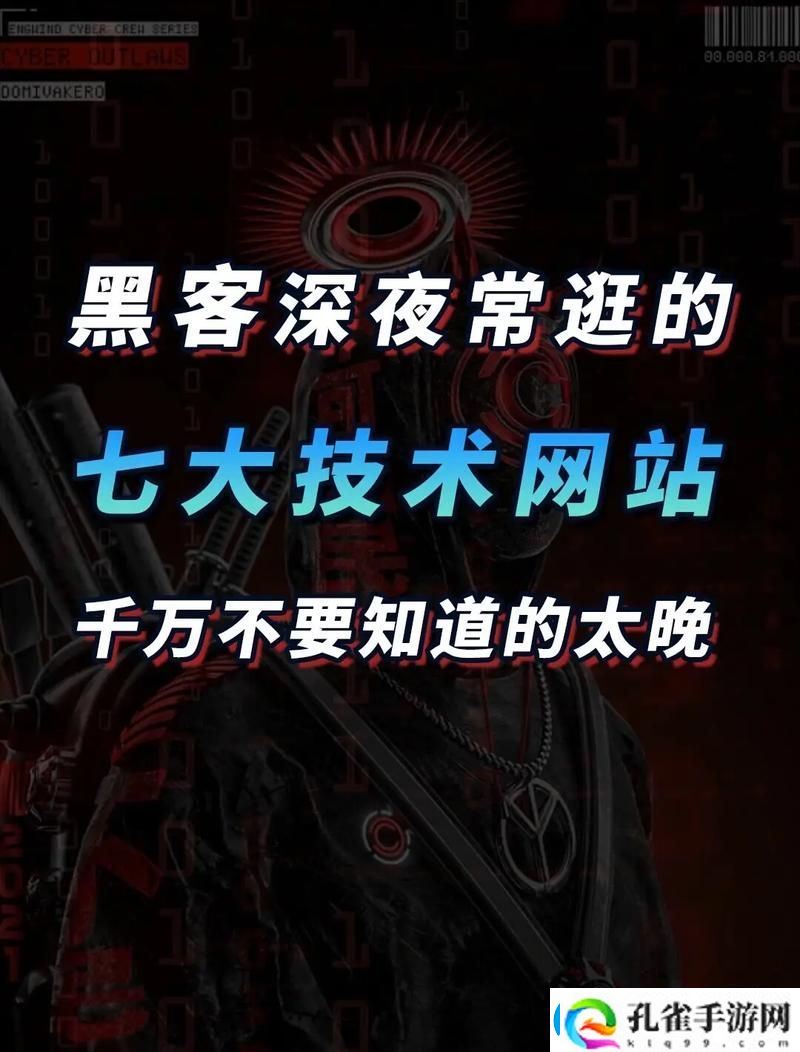 深夜网站的隐秘世界