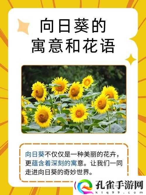 向日葵秋葵草莓榴莲香蕉茄子众多优质内容超清覆盖