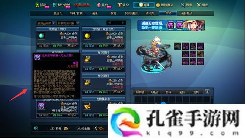 dnf宠物封印胶囊怎么用不了-宠物胶囊用不了解决方法