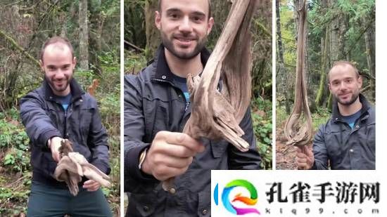 天选之木