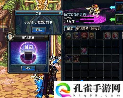 dnf宠物封印胶囊怎么用不了-宠物胶囊用不了解决方法