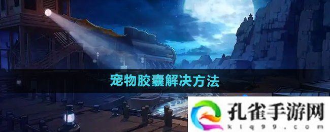 dnf宠物封印胶囊怎么用不了-宠物胶囊用不了解决方法