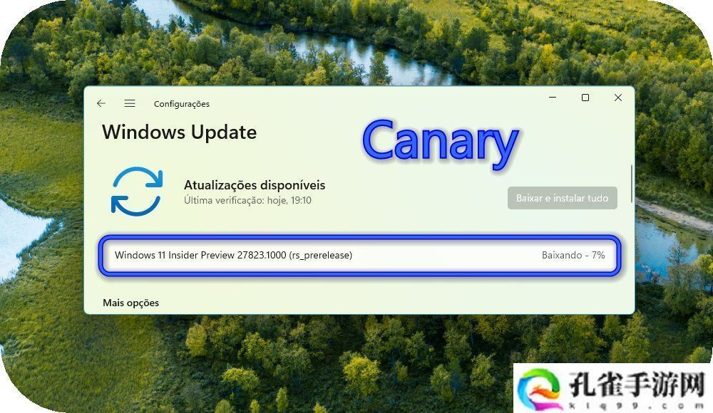 微软 Win11 Canary 27823 预览版发布：设置引入系统信息卡片，修复文件管理器菜单方向错开问题