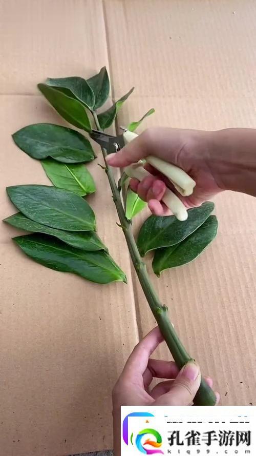 女性坐着扦**b有什么好处